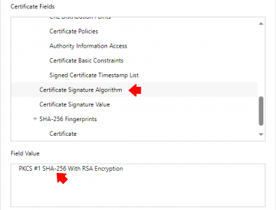 Digital Certificates Explained signature