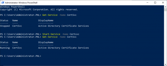 Check Certificate Services is running