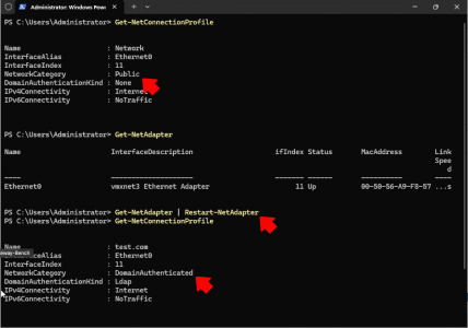 Server 2025 nic profile public