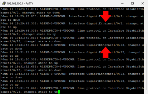 Ensure NICs and Network connections are known