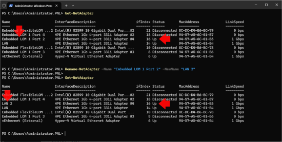 Windows Server Cannot Rename NIC