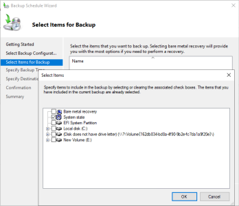 Directory Partition Windows Backup system State