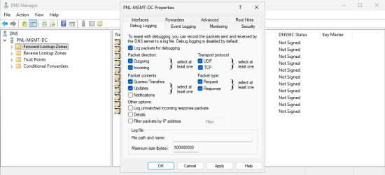 Demote a Domain Controller Audit DNS Queries