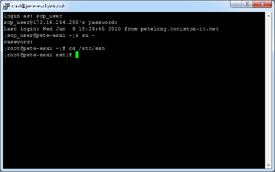 esx ssh directory