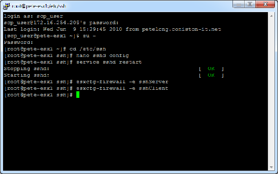 esx restart ssh