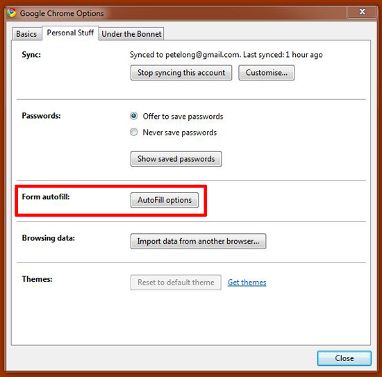 chrome autofill options