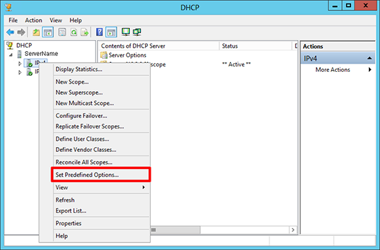 DHCP Predefined Options