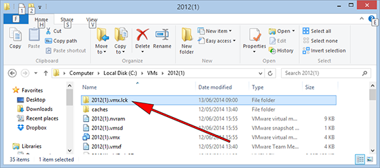 VMware lock files