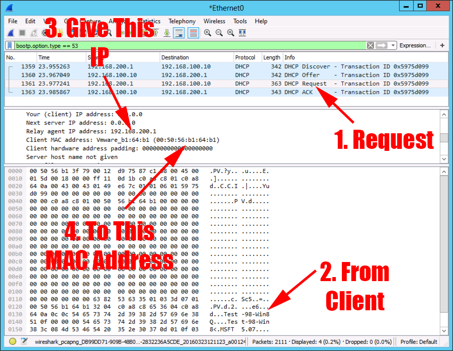 wireshark ip addresses not displaying