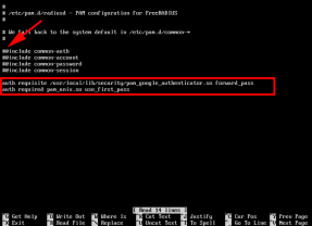 Cisco AnyConnect - With Google Authenticator 2 Factor Authentication ...