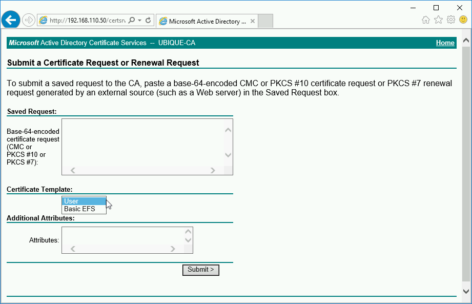 certsrv-can-only-see-user-and-basic-efs-petenetlive