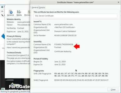 Fortigate Deep SSL Inspection Swaps Certificate